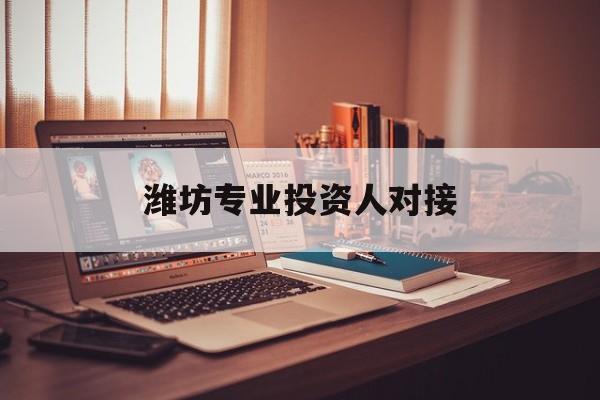 咸宁市潍坊专业投资人对接(潍坊专业投资人对接中心)