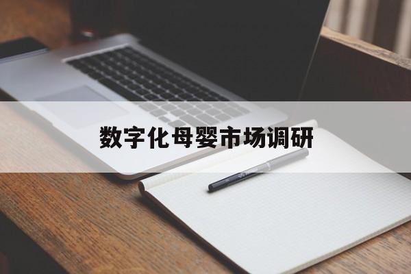 咸宁市数字化母婴市场调研(数字化母婴市场调研报告)